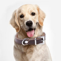 PU Leather Dog Collar Solid Traction Collar for Dog Puppy Cat Pet Neck Belt Strap Pet Dog Supplies XS-XL