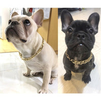 Chain Collar Golden Silvery Necklace