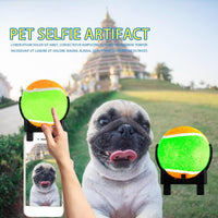 Pet Cat Dog Toy Interesting Tennis Ball Self-Timer Puppy Play Toy for Dog Puppy Training Supplies Pet Product